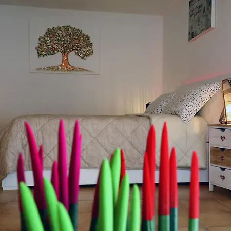 Il Risveglio Nei Sassi